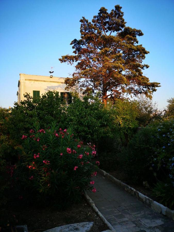 B&B Villa Maria Giovinazzo Eksteriør bilde